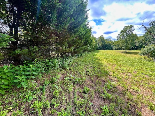 0 Stewartsville Rd, Vinton, VA 24179 - photo 38