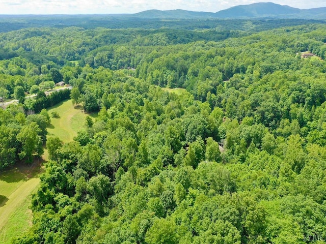 0 Stewartsville Rd, Vinton, VA 24179 - photo 3
