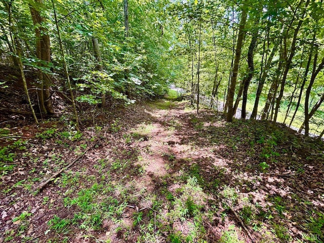 0 Stewartsville Rd, Vinton, VA 24179 - photo 48