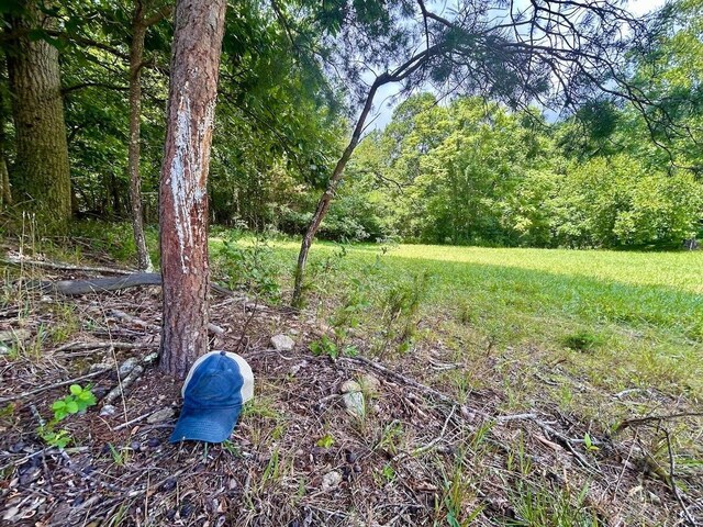 0 Stewartsville Rd, Vinton, VA 24179 - photo 52