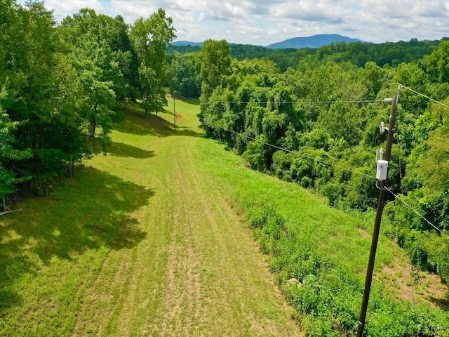 0 Stewartsville Rd, Vinton, VA 24179 - photo 15