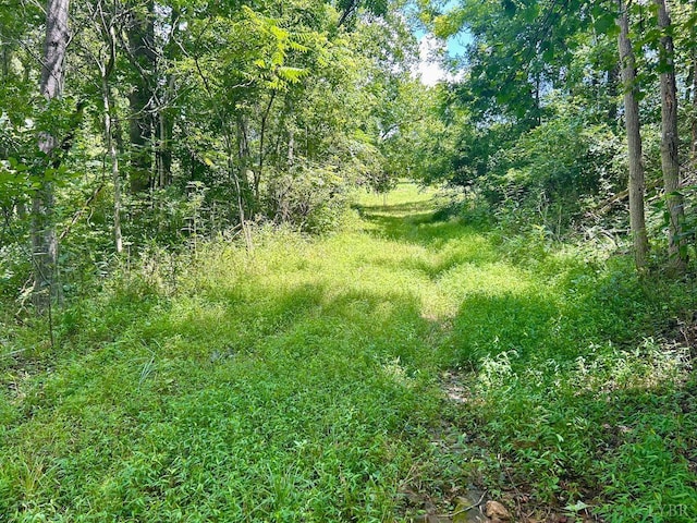 0 Stewartsville Rd, Vinton, VA 24179 - photo 50