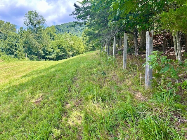 0 Stewartsville Rd, Vinton, VA 24179 - photo 17