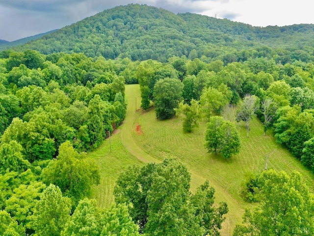 0 Stewartsville Rd, Vinton, VA 24179 - photo 2