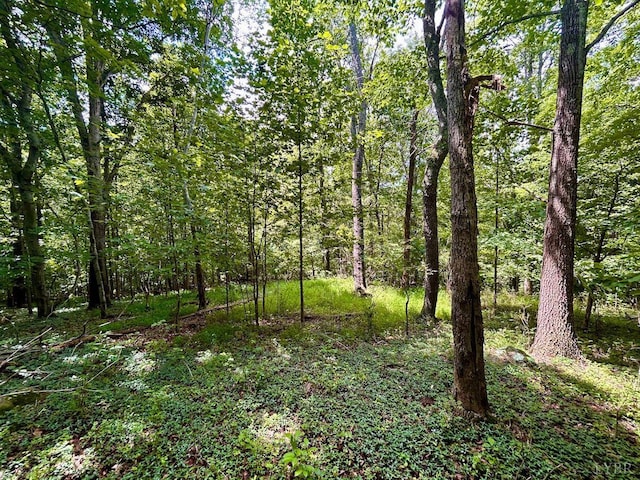 0 Stewartsville Rd, Vinton, VA 24179 - photo 40