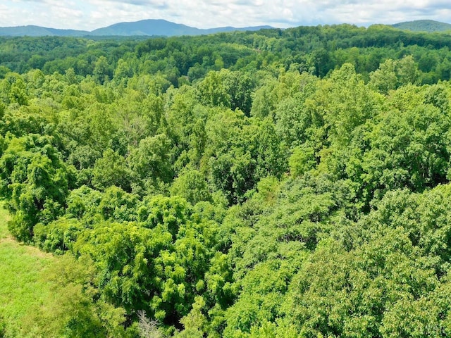 0 Stewartsville Rd, Vinton, VA 24179 - photo 7
