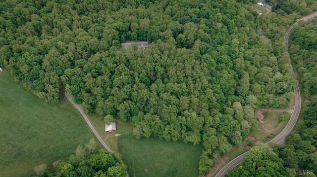 1070 Archway Rd, Blue Ridge, VA 24064 - photo 34