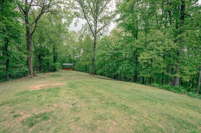 1070 Archway Rd, Blue Ridge, VA 24064 - photo 31