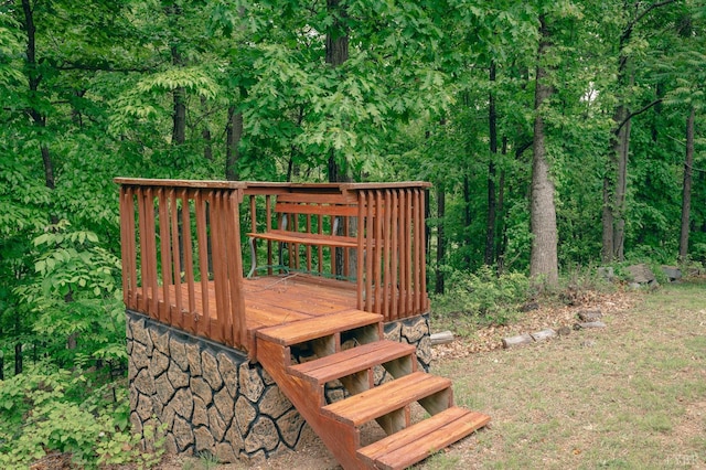 1070 Archway Rd, Blue Ridge, VA 24064 - photo 33