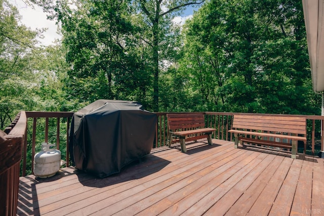 1070 Archway Rd, Blue Ridge, VA 24064 - photo 27