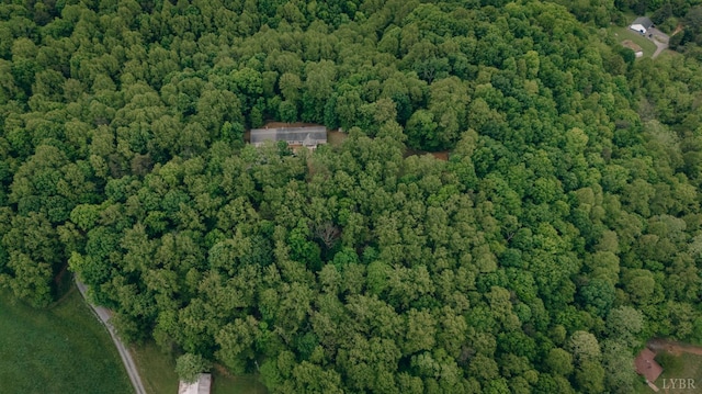 1070 Archway Rd, Blue Ridge, VA 24064 - photo 35