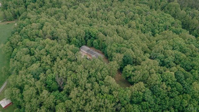 1070 Archway Rd, Blue Ridge, VA 24064 - photo 36