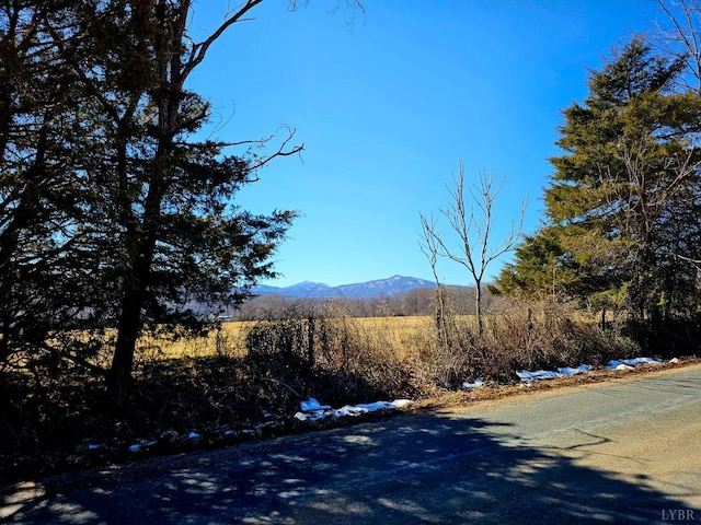 2 Turkey Mountain Rd, Amherst, VA 24521 - photo 5