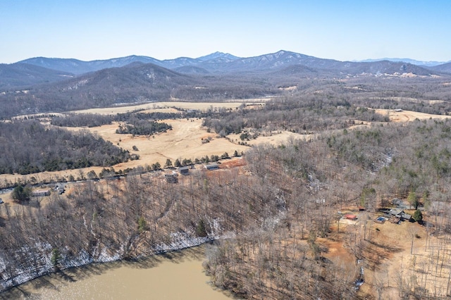 2 Turkey Mountain Rd, Amherst, VA 24521 - photo 15