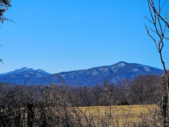 2 Turkey Mountain Rd, Amherst, VA 24521 - photo 4