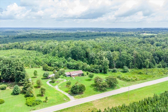 13464 Patrick Henry Hwy, Brookneal, VA 24528 - photo 43