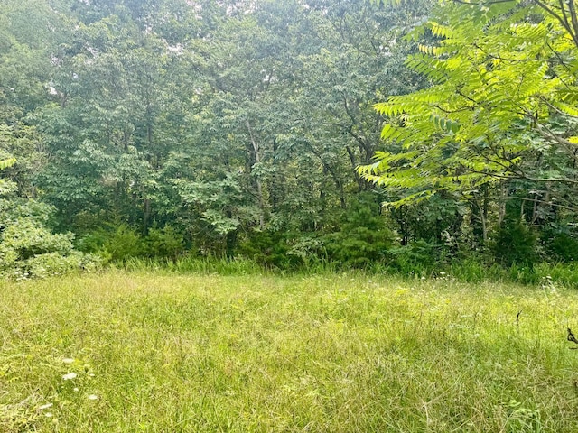266 Tabor Rd, Gladys, VA 24554 - photo 8