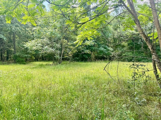266 Tabor Rd, Gladys, VA 24554 - photo 9
