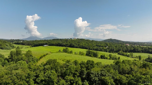 1335 Wells Rd, Bedford, VA 24523 - photo 38