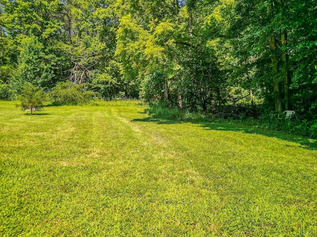 456 Shirey Farm Rd, Spout Spring, VA 24593 - photo 43