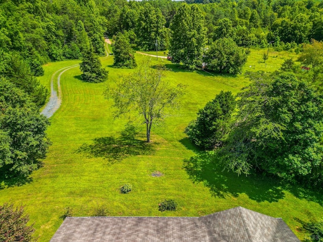 456 Shirey Farm Rd, Spout Spring, VA 24593 - photo 56