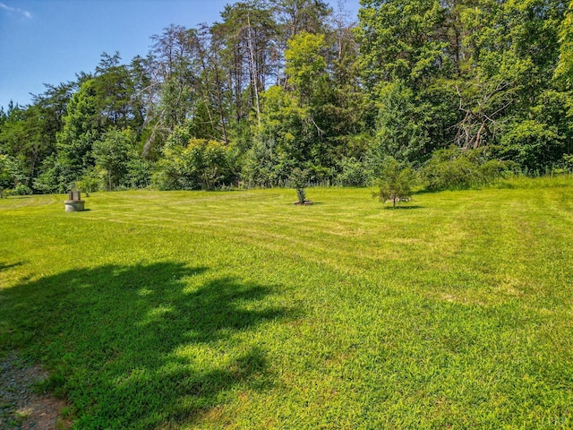 456 Shirey Farm Rd, Spout Spring, VA 24593 - photo 44