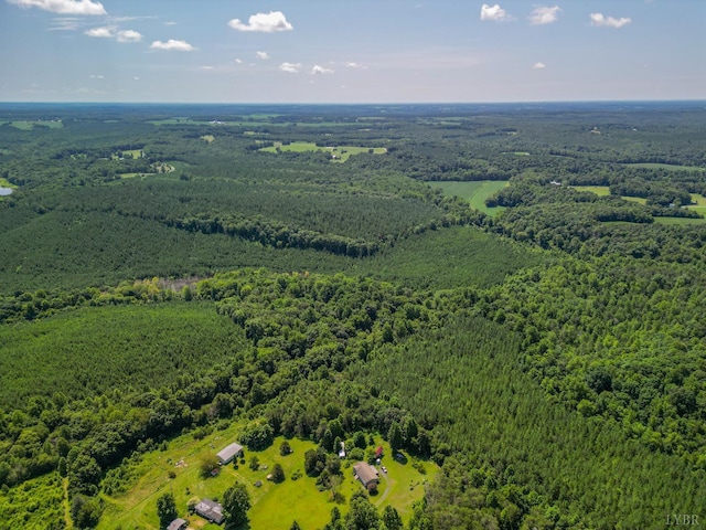 456 Shirey Farm Rd, Spout Spring, VA 24593 - photo 61