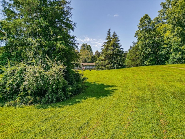 456 Shirey Farm Rd, Spout Spring, VA 24593 - photo 38