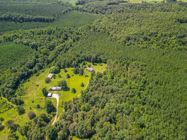 456 Shirey Farm Rd, Spout Spring, VA 24593 - photo 62