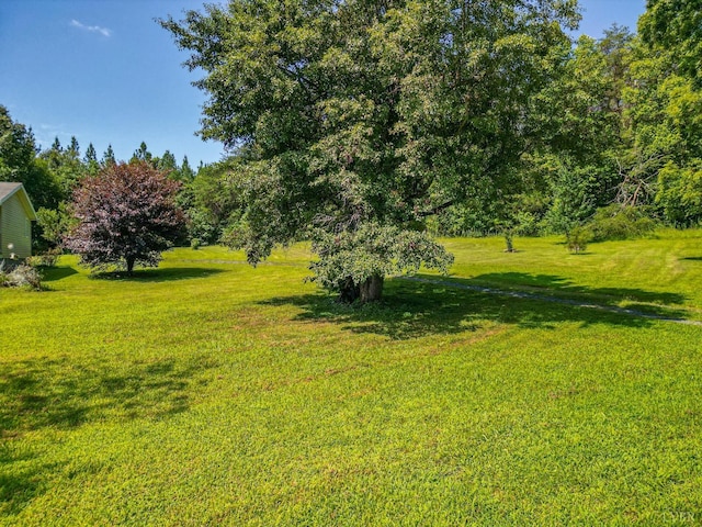 456 Shirey Farm Rd, Spout Spring, VA 24593 - photo 42