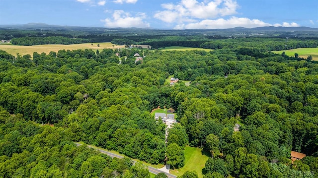 4777 Thomas Jefferson Rd, Forest, VA 24551 - photo 89