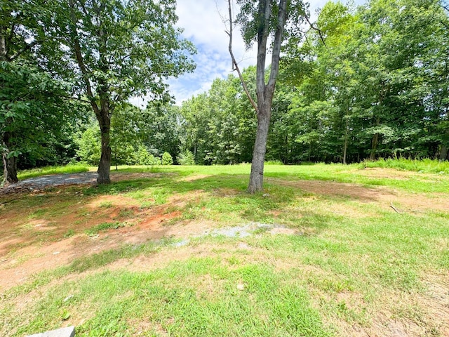 453 Plateau Dr, Evington, VA 24550 - photo 27