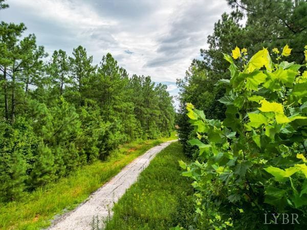0 Red Oak School Rd, Rustburg, VA 24588 - photo 9