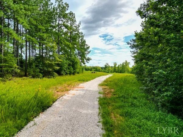 0 Red Oak School Rd, Rustburg, VA 24588 - photo 5