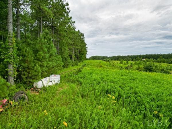 0 Red Oak School Rd, Rustburg, VA 24588 - photo 6