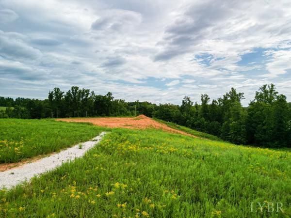 0 Red Oak School Rd, Rustburg, VA 24588 - photo 10
