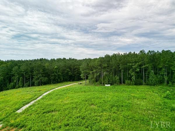 0 Red Oak School Rd, Rustburg, VA 24588 - photo 16