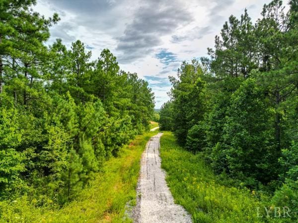 0 Red Oak School Rd, Rustburg, VA 24588 - photo 8