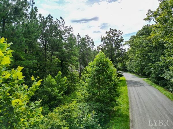 0 Red Oak School Rd, Rustburg, VA 24588 - photo 12