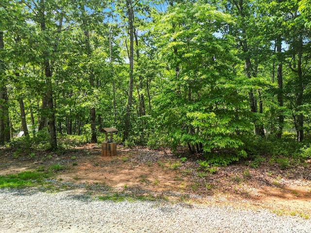 1720 Gallows Rd, Gretna, VA 24557 - photo 65
