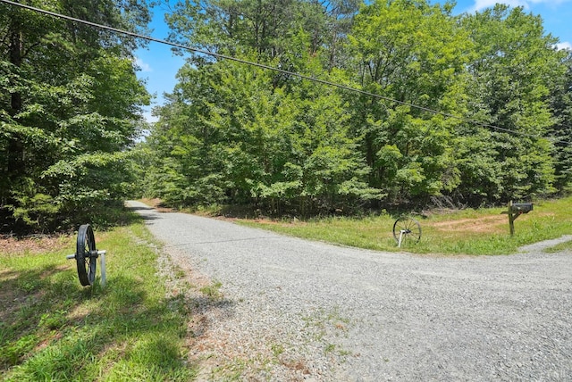 1720 Gallows Rd, Gretna, VA 24557 - photo 70