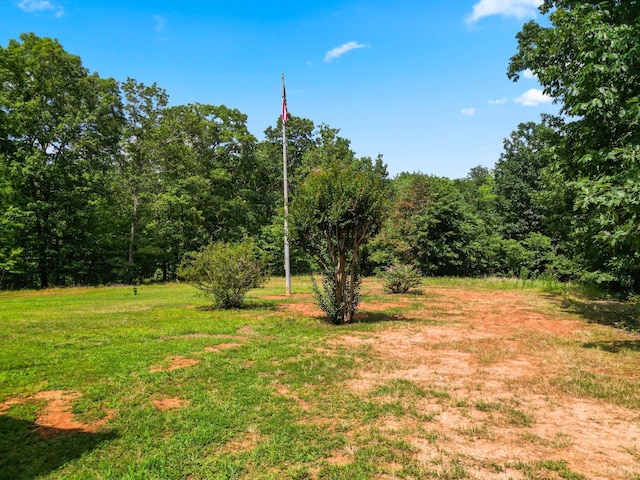 1720 Gallows Rd, Gretna, VA 24557 - photo 35
