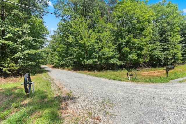 1720 Gallows Rd, Gretna, VA 24557 - photo 64
