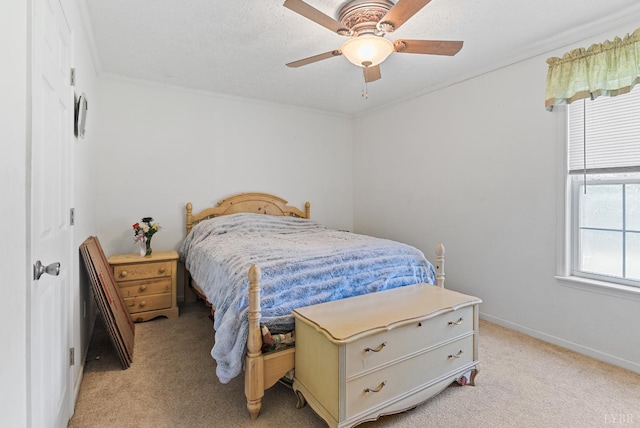 1720 Gallows Rd, Gretna, VA 24557 - photo 28