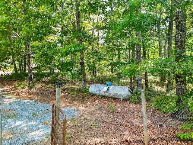 1720 Gallows Rd, Gretna, VA 24557 - photo 71