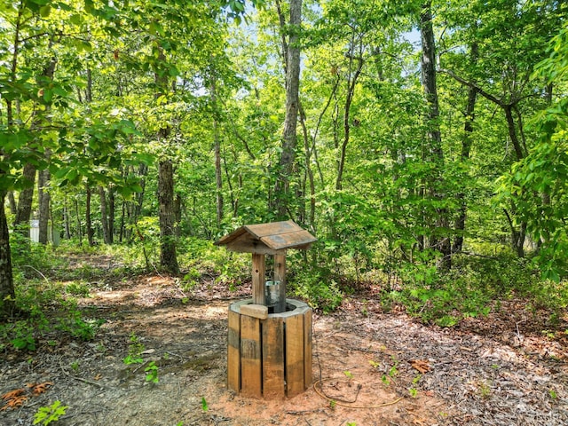 1720 Gallows Rd, Gretna, VA 24557 - photo 58