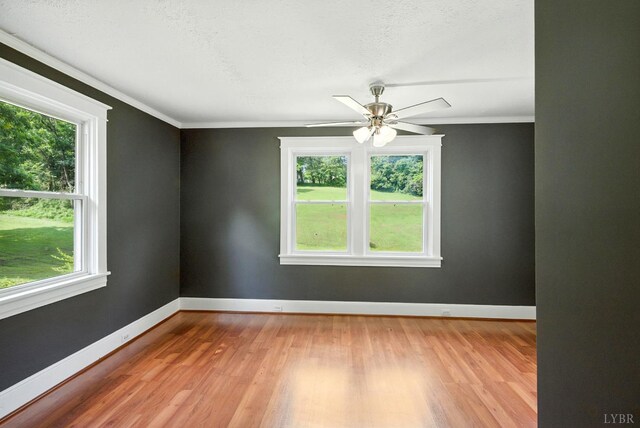 157 Old Country Rd, Monroe, VA 24574 - photo 5