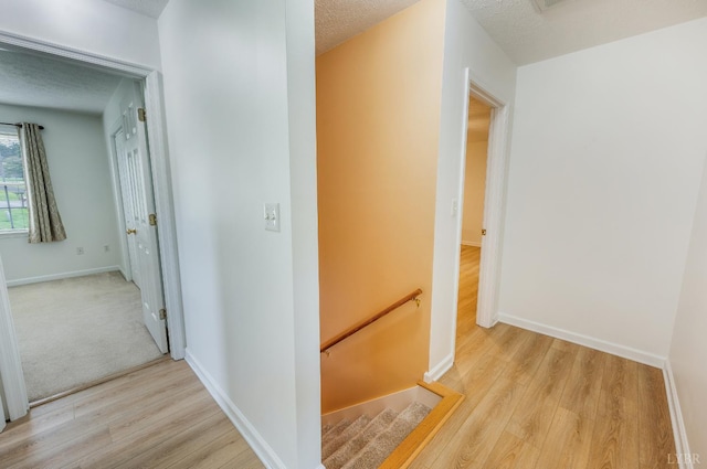 1017 Pokeys Creek Rd, Lynchburg, VA 24503 - photo 26