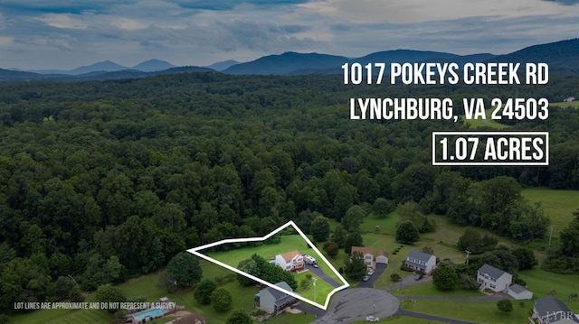 1017 Pokeys Creek Rd, Lynchburg, VA 24503 - photo 53