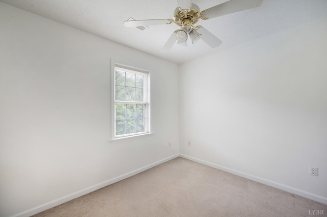 1017 Pokeys Creek Rd, Lynchburg, VA 24503 - photo 30